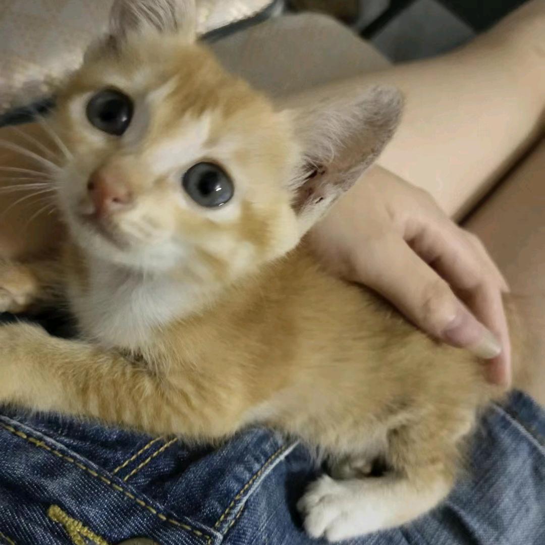 .努力奋斗