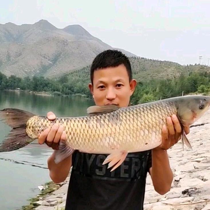鱼帝（八方来鲤）
