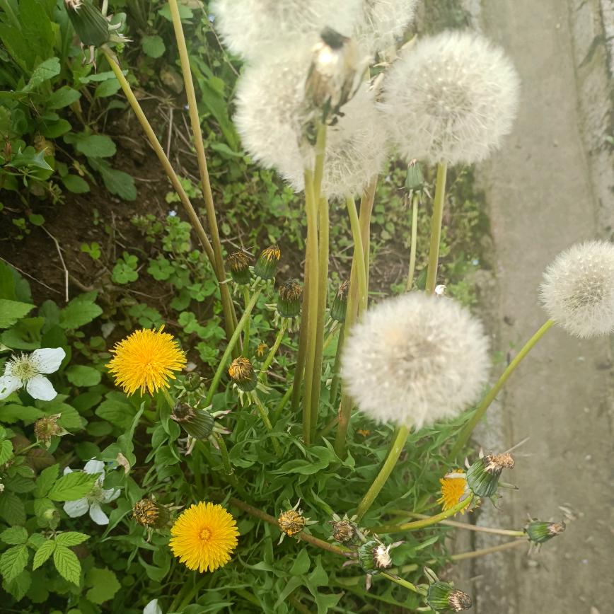 春暖花开88