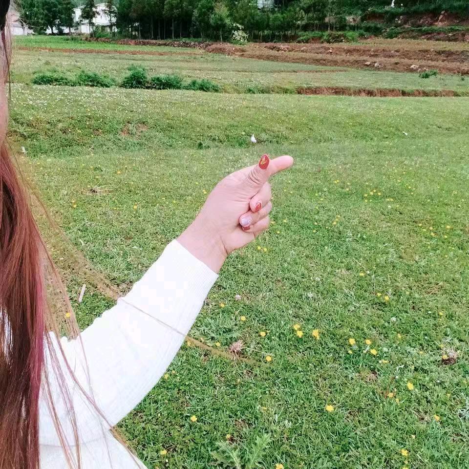 花落盛开蝴蝶自来