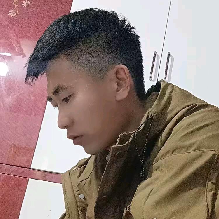 杨晨
