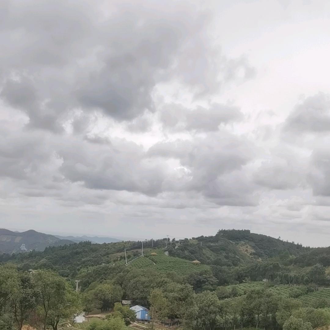 艺甲美甲美睫