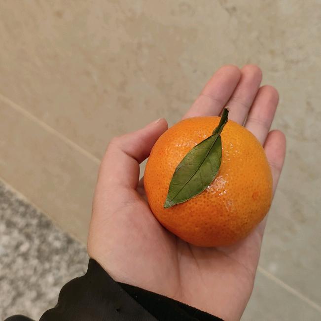 用户星期天