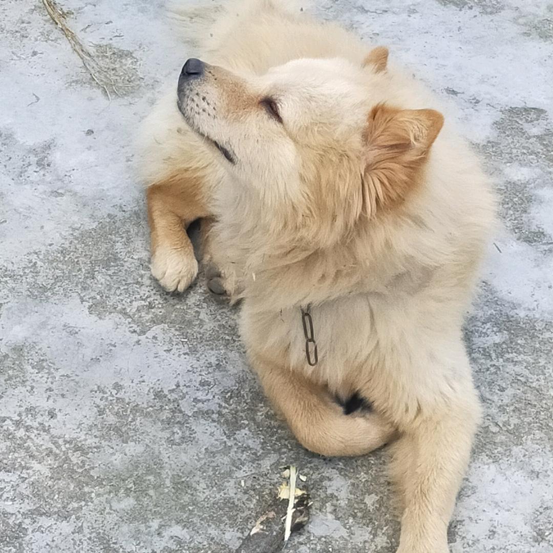 仙之巅傲世间有我海龙便有天
