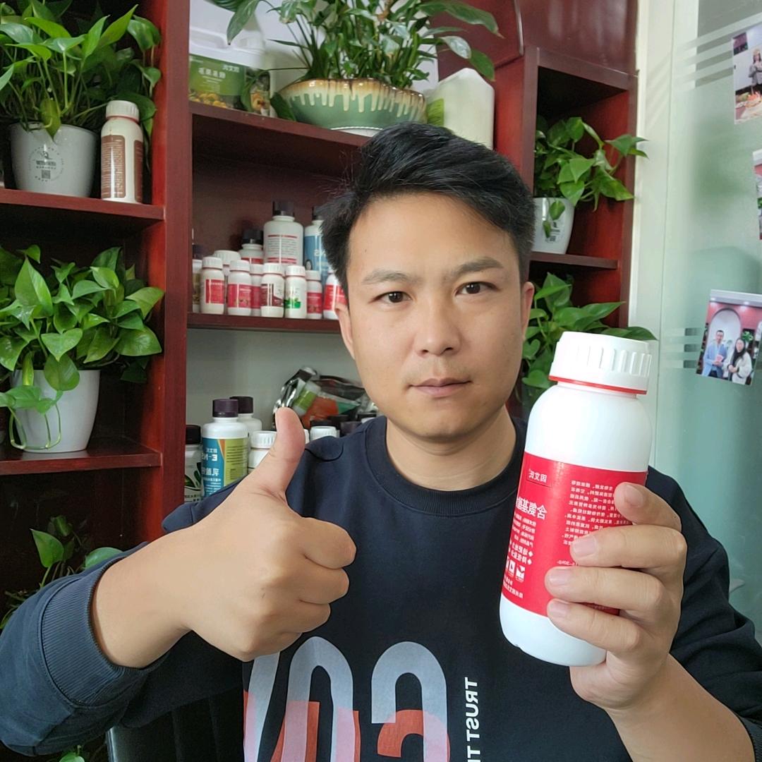 李老四聊果树