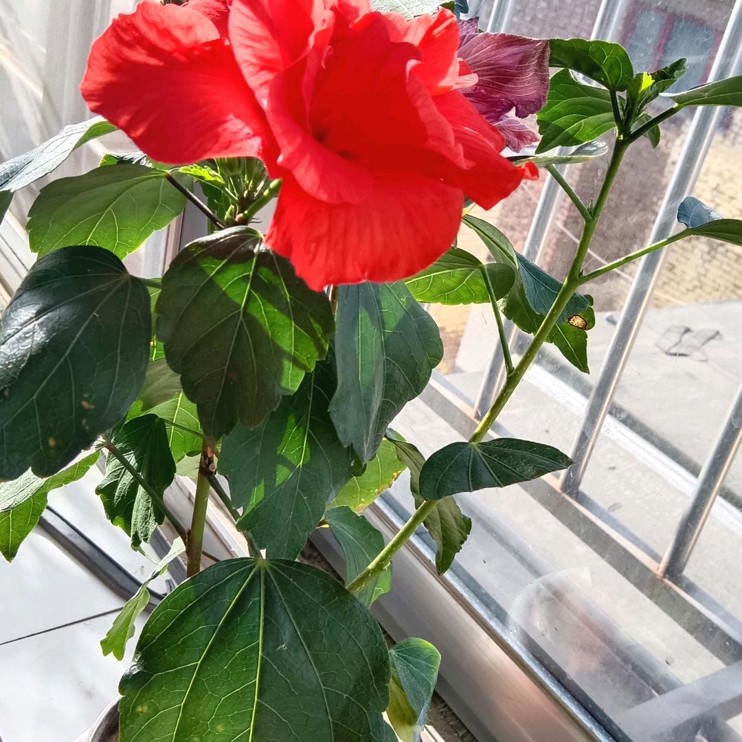 👉宁静致远👈