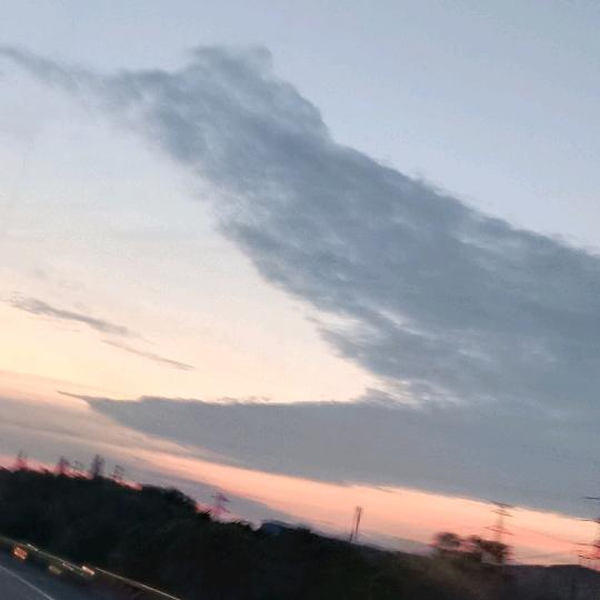 明天会更好