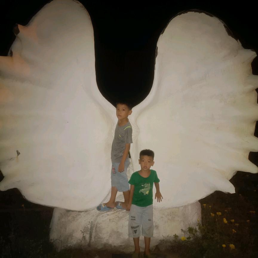 🇨🇳家和万事兴🇨🇳