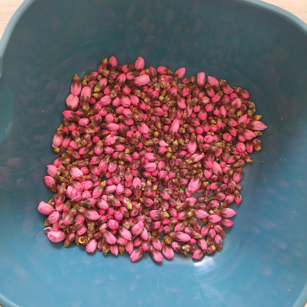 半颗糖🍬