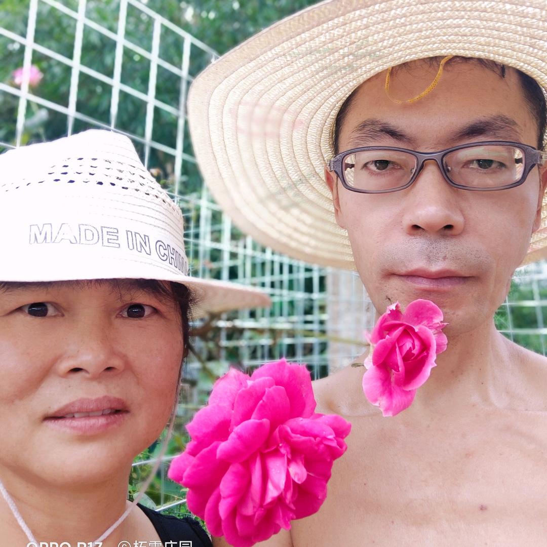 重庆柘霖牡丹木绣球