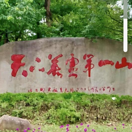 红尘绝恋