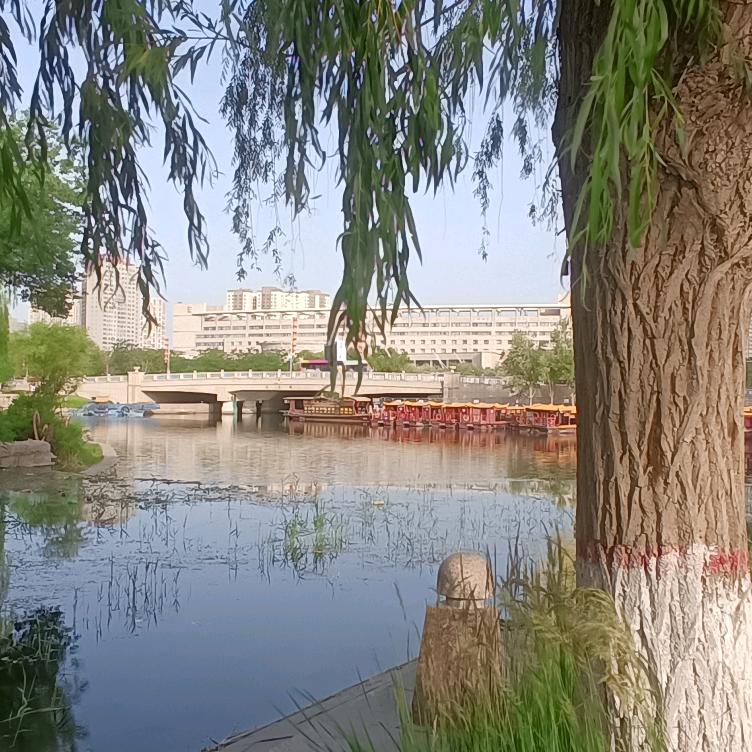 桃花园记
