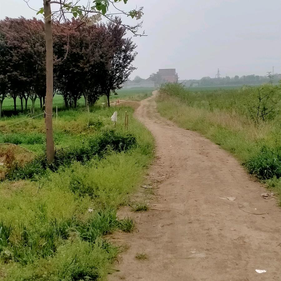 随心随意