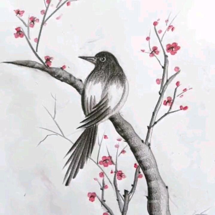 天下乌鸦一般黑