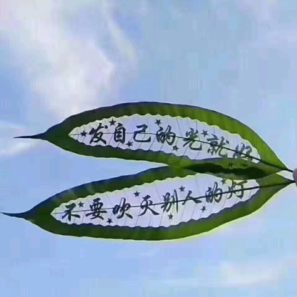jinyufangzhi688
