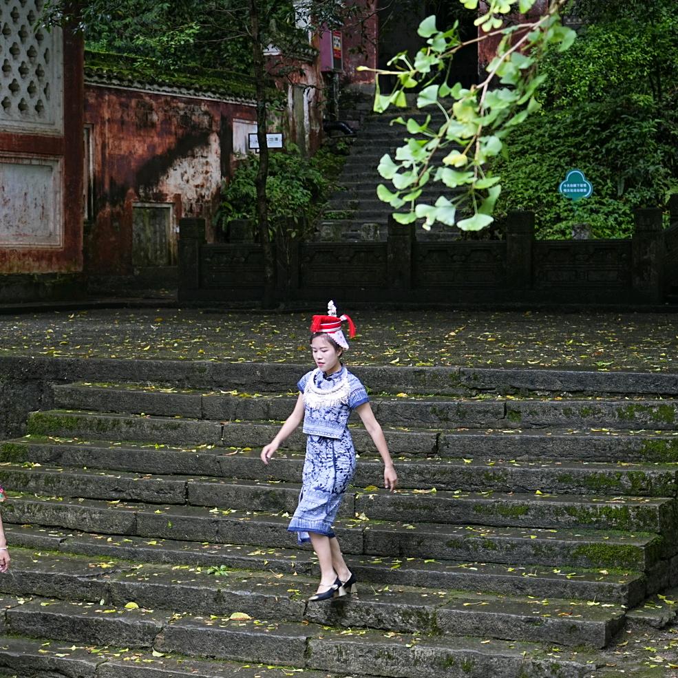 革家杨同学