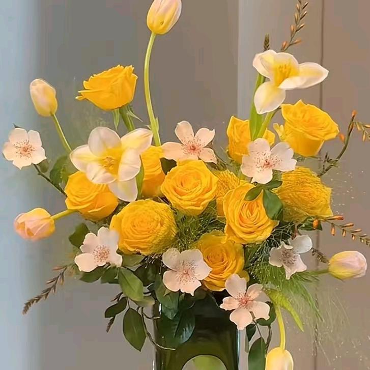 🌈🌈🌈幸运星