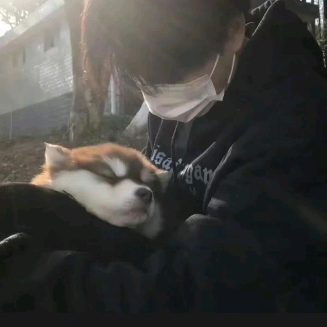 爱吃樱桃的明