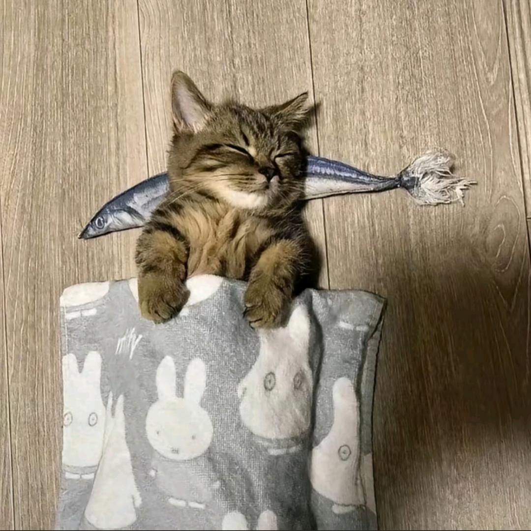 ，，。