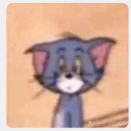 川光集好物阁桦桦