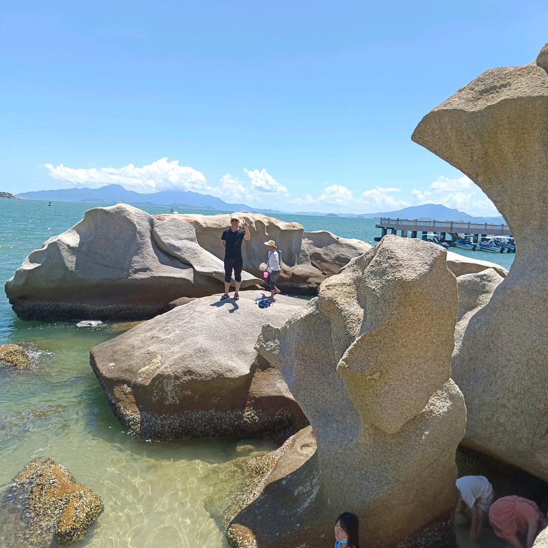 大展飞龙
