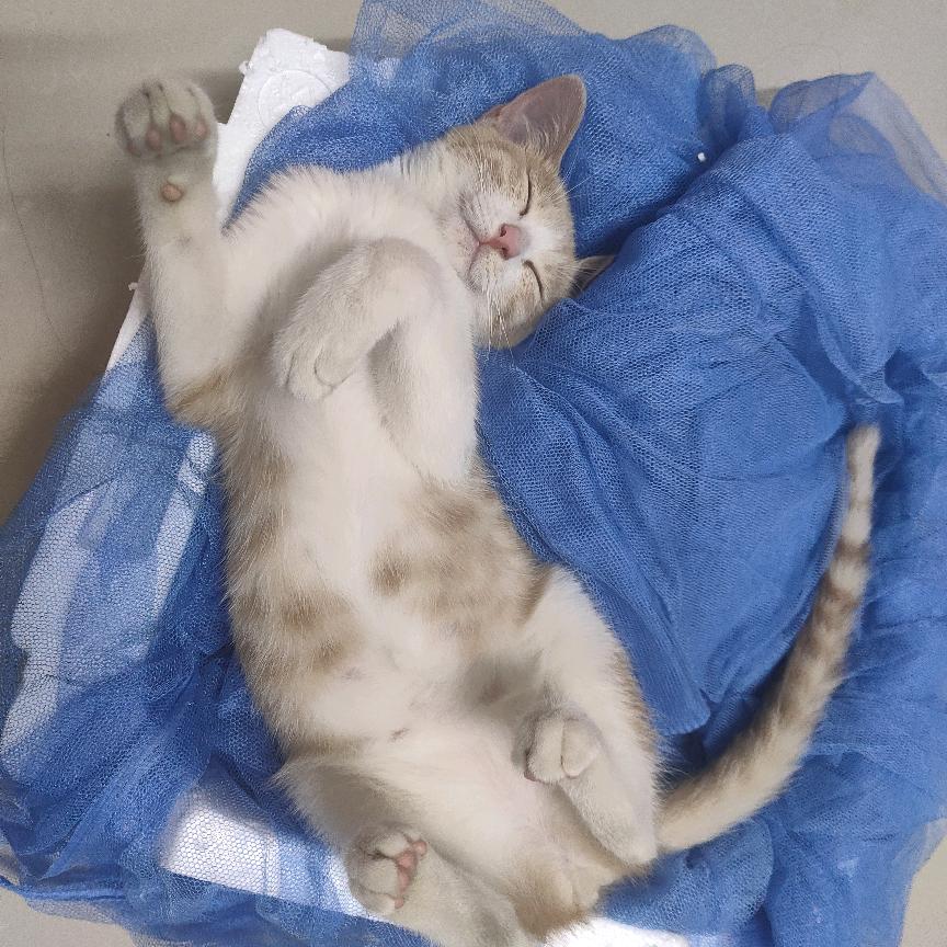 ╰つ浅听ヾ萍ㄟ