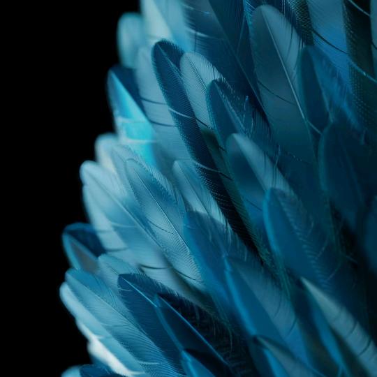 专业配送植物油，环保油，