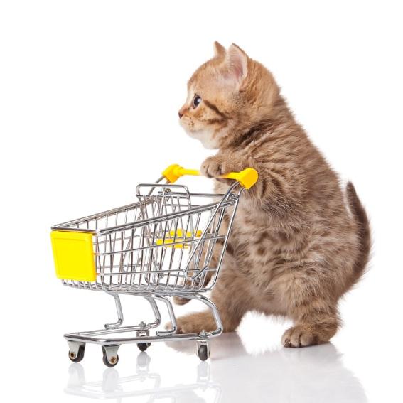 胖喵(好物分享版)