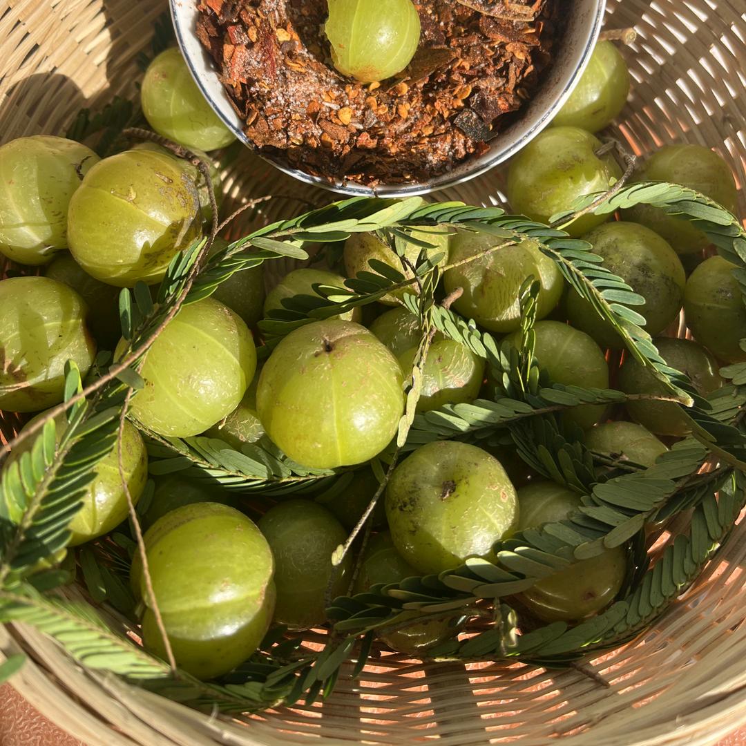 高黎贡生态果蔬店