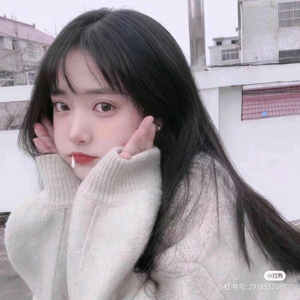🐻麋鹿