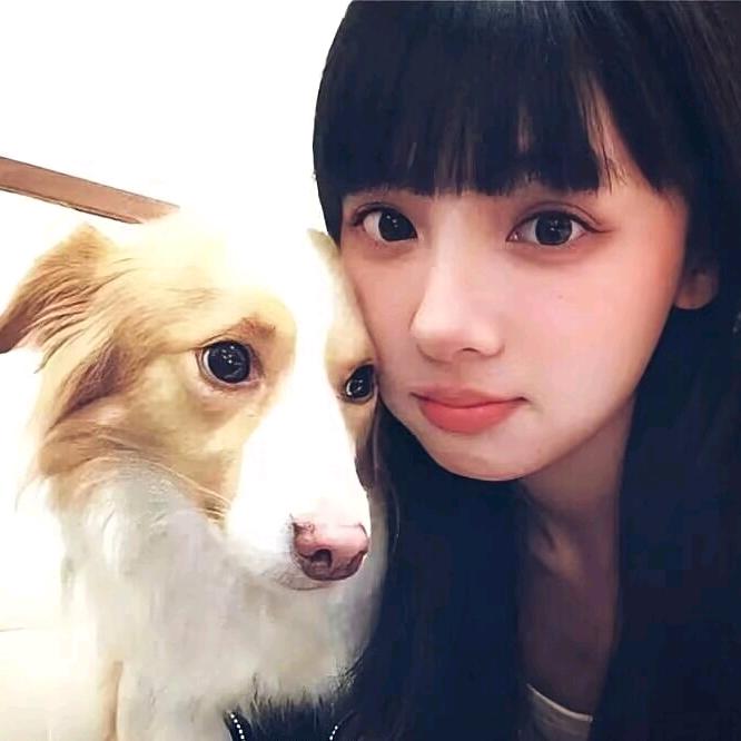 ^在等晚安.