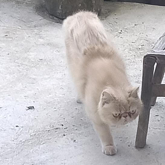 。。。。。。。。。。。。。。。。。