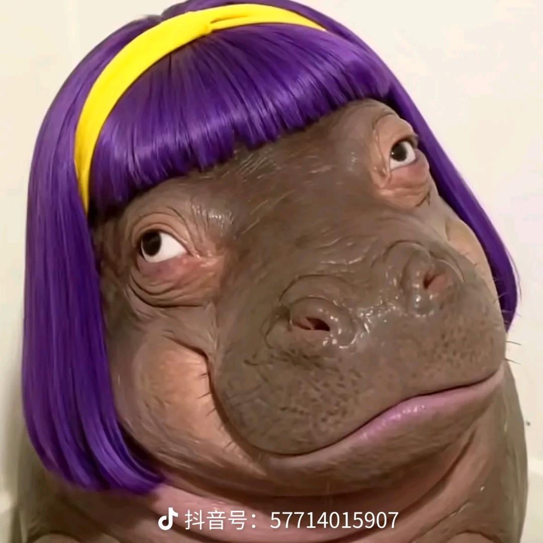 老挝🇱🇦混饭吃