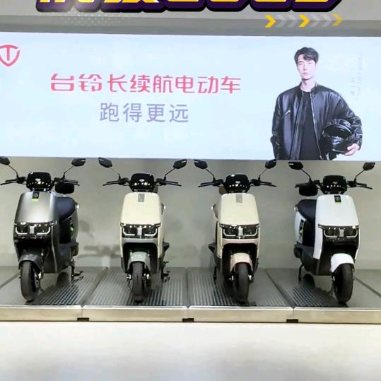 平庄台铃电动车1