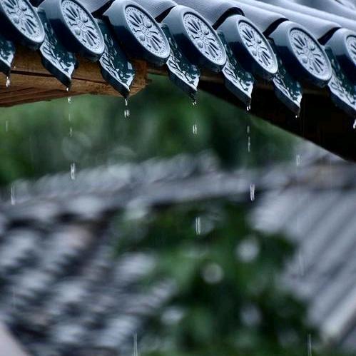 静听雨落嘀嗒声