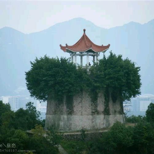 一半称心❤️