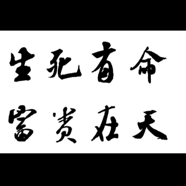 归来