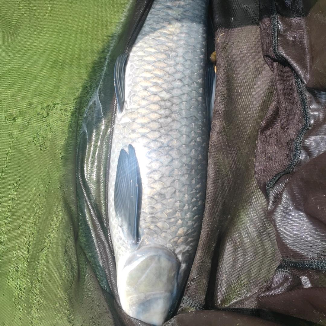 💅百🎣👉味🐟👈