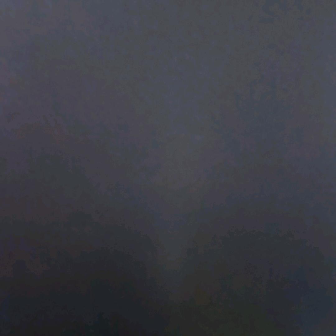 珠珠