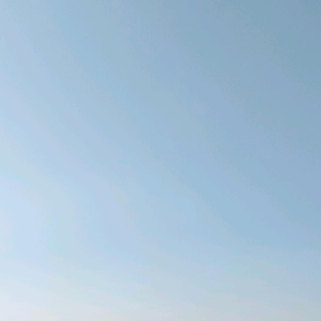 最后的对手