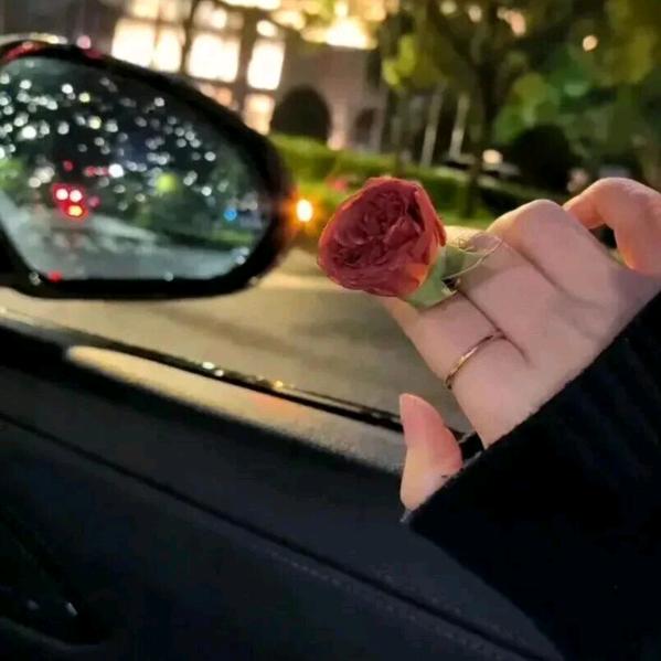 @💞🥀淡然一笑🍺🍺💚🥀