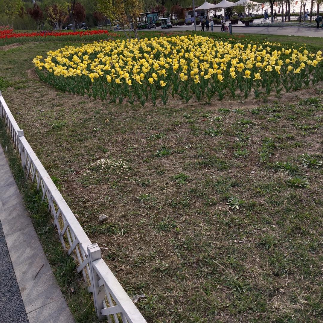 এ心之᭄💞ღ所向᭄ꦿএ᭄