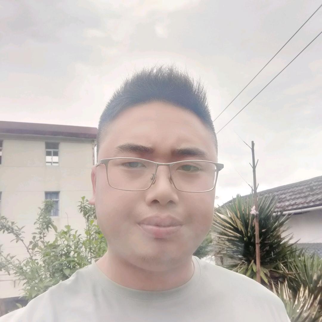 维佳