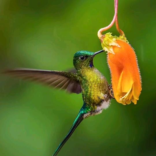 @এº᭄ ོ 余生💞安好 ృ༊ ړ࿐: