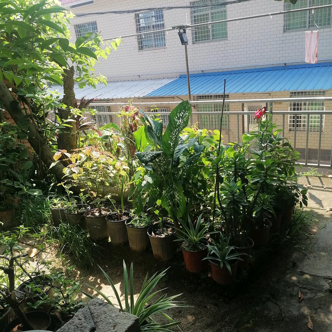 阿生时代