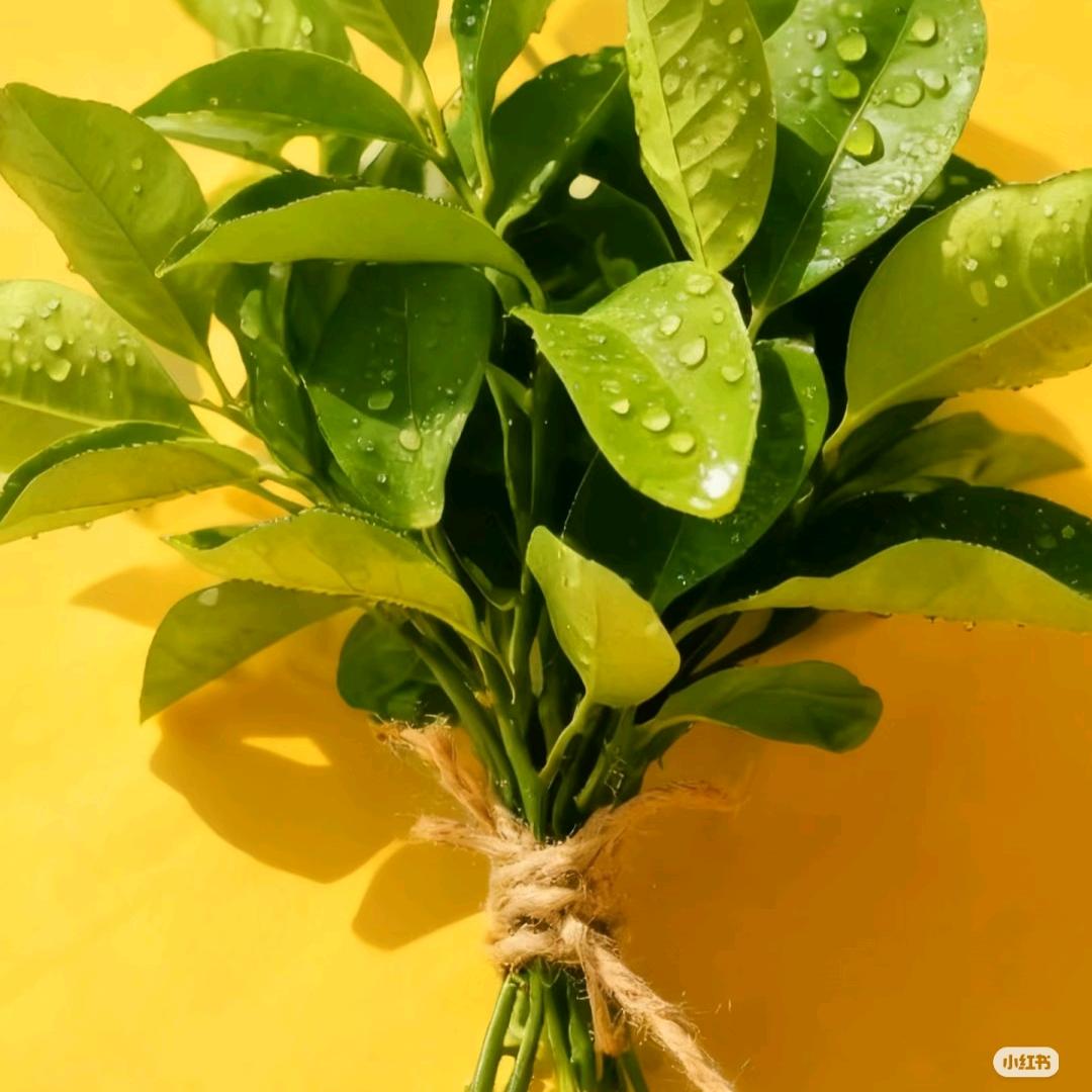 💓我是张容溪💓💖💖