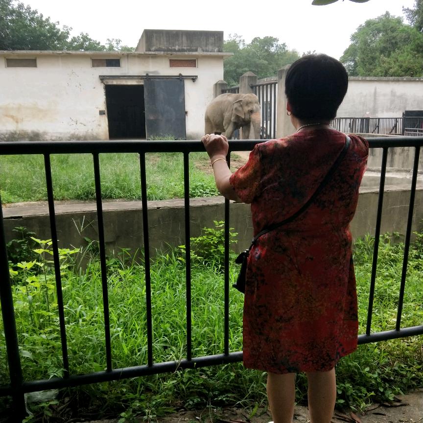 徐秀霞