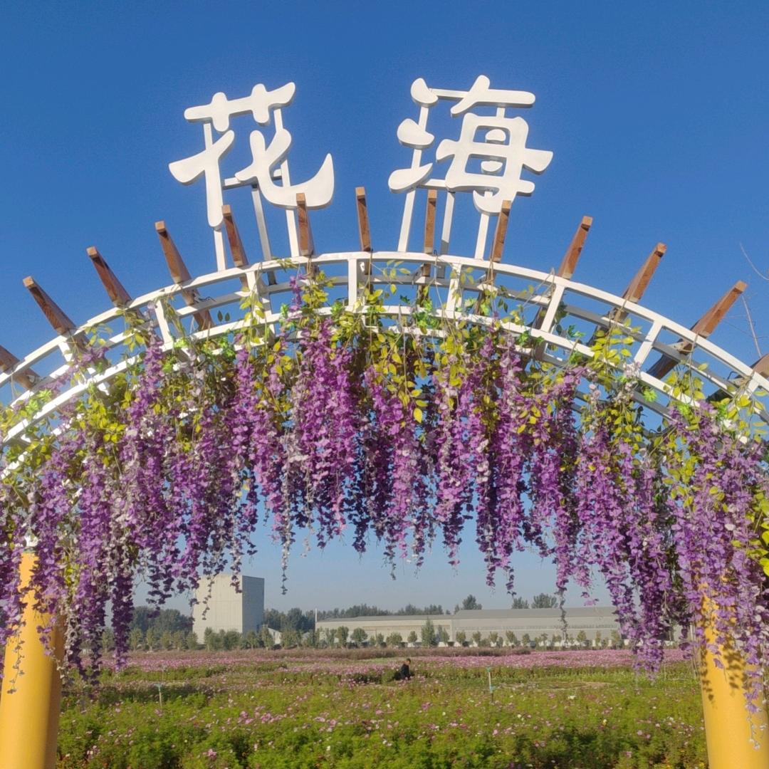 @清风明月@