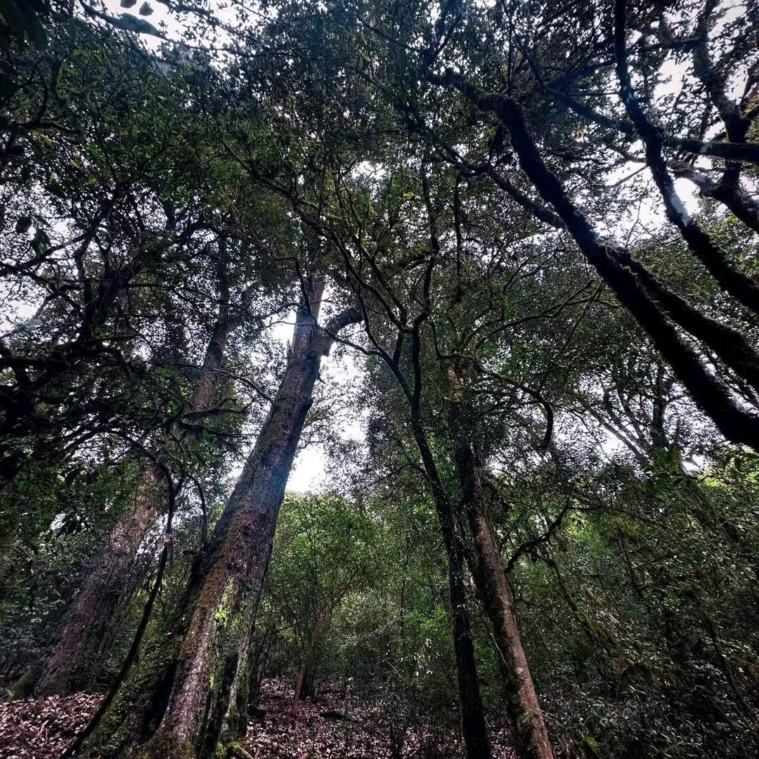 ￴￴￴ ￴￴   ￴ ￴ ￴￴￴