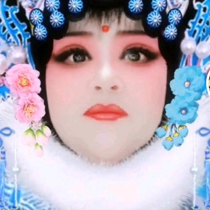 刘家大小姐